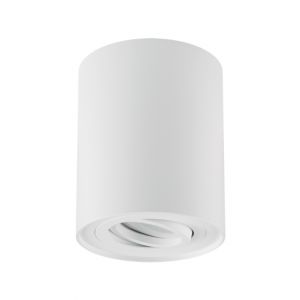 Oprawa sufitowa HARY GU10 biała TUBA lampa 03711 IDEUS - 00657f757cd21b0769af11a10d41c05749f96491.jpg