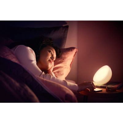 Lampa lampka przenośna LED Hue Go produkt wycofany PHILIPS (915005821901)