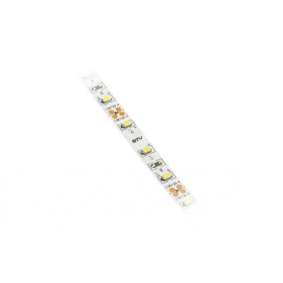 GTV TAŚMA FLASH 3528, 600 LED ZIMNY BIAŁY, 48W WODOODPORNA 8mm, ROLKA 5m LD-3528-600-65-ZB (LD-3528-600-65-ZB)